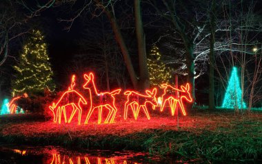 Glowing red deer decoration for the holidays at night 
