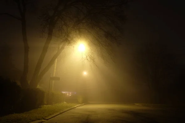 Street Lamp Night Makes Its Way Fog — Stock Fotó