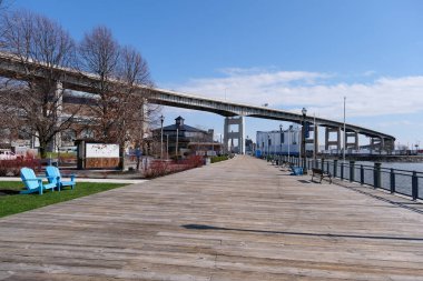 Gölün kıyısındaki bufalo patikası