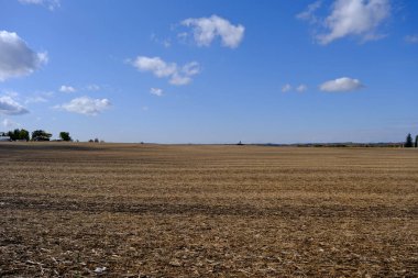 Kuzey Ontario 'da sıradan bir tarla.
