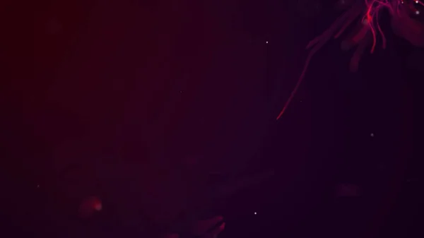 抽象的なアクア粒子背景 背景に浮かぶ赤い粒子 — ストック写真