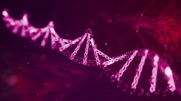 Δέσμη Dna Πλήρη Οθόνη Ιατρική Επιστήμη Γενετική Βιοτεχνολογία Χημεία Βιολογία — Αρχείο Βίντεο