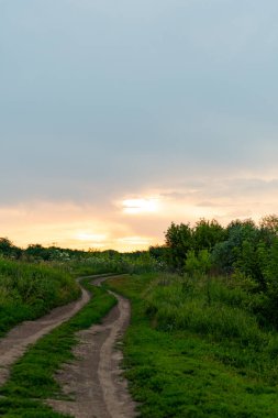 Tarlaların ve çayırların arasında çok uzun bir yol. Gün batımına doğru uzun bir yol var. Günbatımına giden yol, Glades 'in arasında.