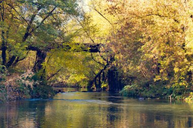 Bir köprü, hızlı, küçük bir nehrin üzerinde. Nehir güzel sonbahar ağaçları arasında akar, kırmızı, sarı, altın. Hızlı su, sonbahar güneşinin ışınlarında Eylül, Ekim, Kasım aylarını yansıtır..
