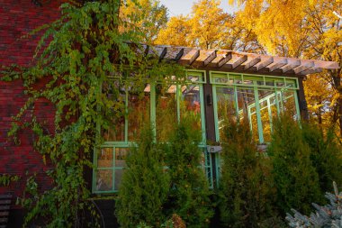 Seranın manzarası ve güzel bir binanın köşesi. Bir bina, bir sera, sarmaşık ve ön planda güzel bitkiler. Sonbahar arkaplanı, Eylül, Ekim, Kasım.