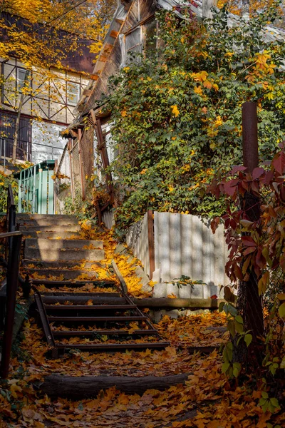 Ein Altes Kleines Fischerdorf Enge Gassen Und Treppen Einem Fischerdorf — Stockfoto