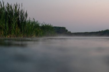 Suyun yüzeyinden kıyıya, bitki örtüsüyle çekilmiş bir fotoğraf. Rusya 'daki Don Nehri' nin yüzeyinin fotoğrafı..