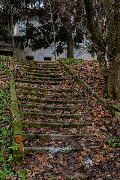 Staré Kamenné Schodiště Poblíž Opuštěného Domu Schody Pokryté Spadaným Listím — Stock fotografie