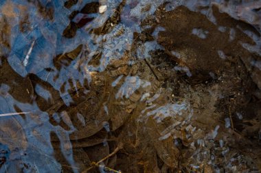 Altının arka planında, bir orman deresinde, berrak suyun içinden görülebiliyor. Derenin dibini görebileceğiniz temiz su..