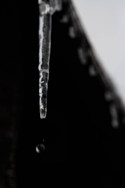 Çatıdan sarkan, üzerinde uçan bir su damlası olan karanlık bir arkaplanda buz saçağı. Sarkıttan bir damla su düştü ve karanlık bir zemine doğru uçuyor..