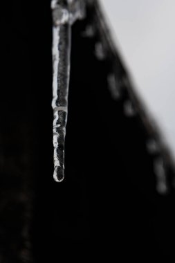 Çatıdan sarkan bir buz saçağı, karanlık bir arka planda. Bir, küçük bir donmuş su sarkıtı, koyu bir arka planda..