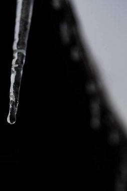 Kış, donmuş bir su sarkıtı, çatıdan sarkan, karanlık bir arka planda. Saf buzdan yapılmış şeffaf buz sarkıtı, koyu bir zemin üzerinde..