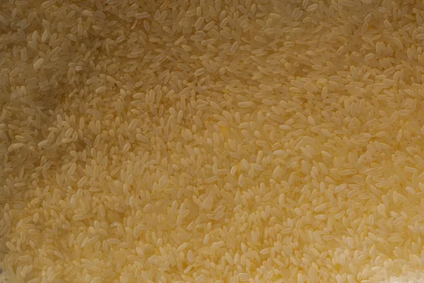 Textured Grains White Rice Scattered Texture Rice Grains Light Substrate — Fotografia de Stock