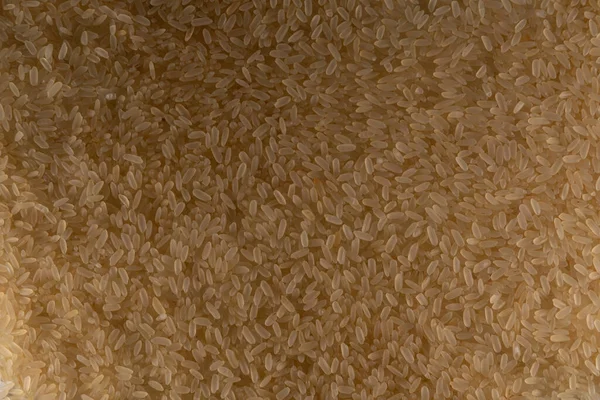 Teksturowane Ziarna Ryżu Wlane Jedną Warstwę Tworzą Teksturowaną Powierzchnię Ziarna — Zdjęcie stockowe