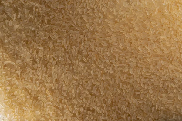 Ziarna Ryżu Równomiernie Rozrzucone Powierzchni Tło Teksturowanych Ziaren Ryżu Dobrej — Zdjęcie stockowe