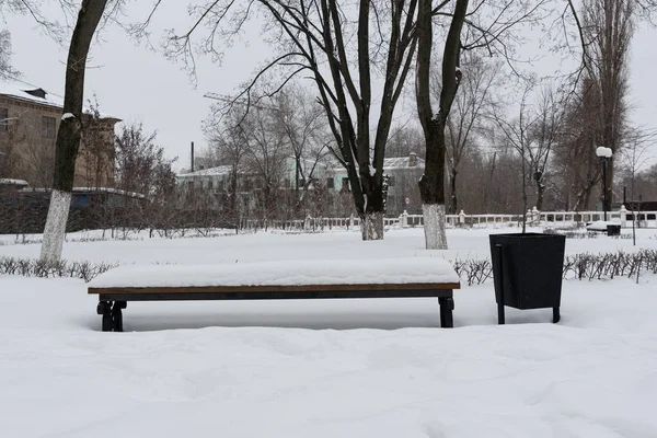 Egy Padon Parkban Egy Szemeteskuka Mellett Hóval Szórva Téli Park — Stock Fotó