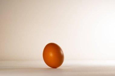 Kahverengi tavuk yumurtası, dik duruyor. Beyaz arka plan, beyaz taban ve kahverengi tavuk yumurtası.