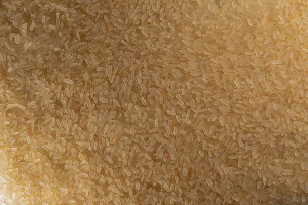 Grãos Arroz Cozido Vapor Espalhados Superfície Contexto Grãos Texturizados Arroz — Fotografia de Stock