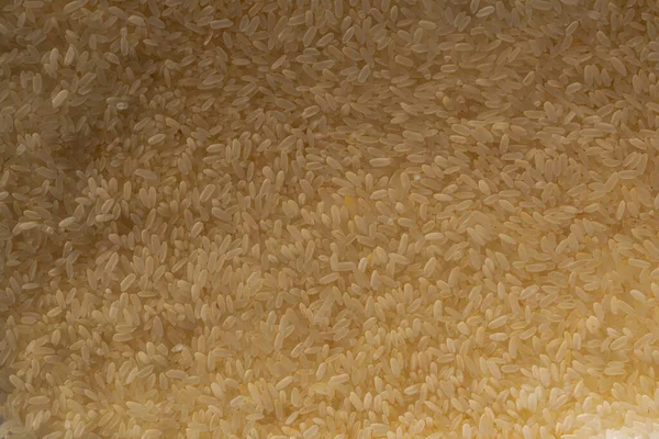 Фон Текстурированного Рисового Зерна Заполненный Слоем Структура Рисовых Зерен Одном — стоковое фото