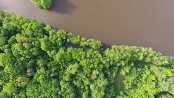 Vue depuis le drone. Île dans le lac dans la forêt.