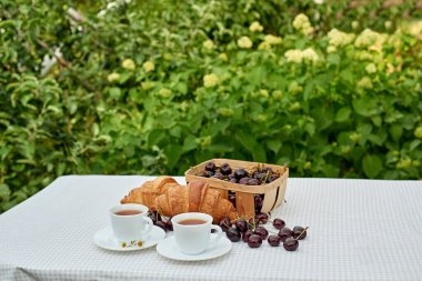 Beyaz arka planda taze kruvasan ve kirazlı siyah çay. Bahar kahvaltısı kavramsal kompozisyonu