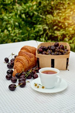 Beyaz arka planda taze kruvasan ve kirazlı siyah çay. Bahar kahvaltısı kavramsal kompozisyonu