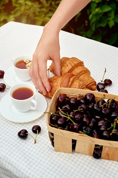Beyaz arka planda taze kruvasan ve kirazlı siyah çay. Bahar kahvaltısı kavramsal kompozisyonu