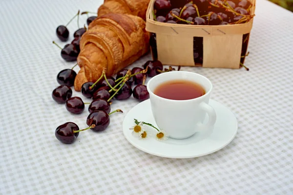 Beyaz arka planda taze kruvasan ve kirazlı siyah çay. Bahar kahvaltısı kavramsal kompozisyonu