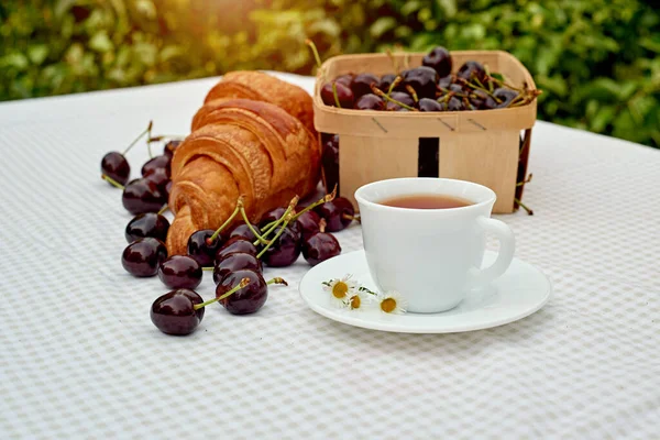 Beyaz arka planda taze kruvasan ve kirazlı siyah çay. Bahar kahvaltısı kavramsal kompozisyonu