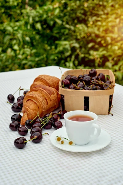 Beyaz arka planda taze kruvasan ve kirazlı siyah çay. Bahar kahvaltısı kavramsal kompozisyonu