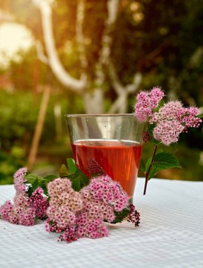 Çilekli meyve suyu ve masada ayçöreği olan limon. Farklı turunçgillerden ev yapımı limonata. Bahçe arka planında ferahlatıcı yaz içeceği.