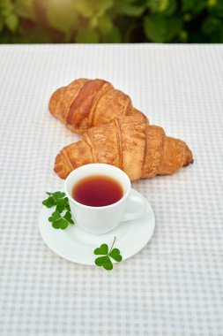 Masada beyaz arka planda papatya çayı ve taze kruvasan olsun. Bahar kahvaltısı kavramsal kompozisyonu