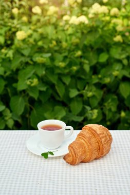 Masada beyaz arka planda papatya çayı ve taze kruvasan olsun. Bahar kahvaltısı kavramsal kompozisyonu