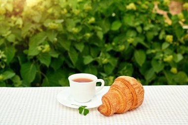 Masada beyaz arka planda papatya çayı ve taze kruvasan olsun. Bahar kahvaltısı kavramsal kompozisyonu