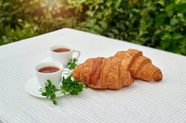 Masada beyaz arka planda papatya çayı ve taze kruvasan olsun. Bahar kahvaltısı kavramsal kompozisyonu
