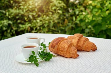 Masada beyaz arka planda papatya çayı ve taze kruvasan olsun. Bahar kahvaltısı kavramsal kompozisyonu