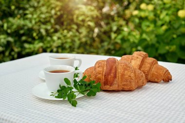 Masada beyaz arka planda papatya çayı ve taze kruvasan olsun. Bahar kahvaltısı kavramsal kompozisyonu