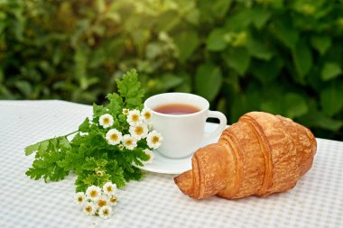 Masada beyaz arka planda papatya çayı ve taze kruvasan olsun. Bahar kahvaltısı kavramsal kompozisyonu