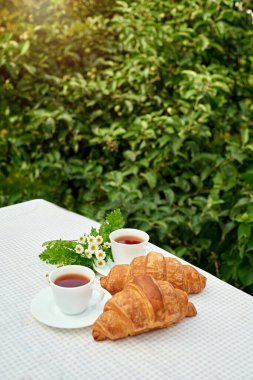 Masada beyaz arka planda papatya çayı ve taze kruvasan olsun. Bahar kahvaltısı kavramsal kompozisyonu