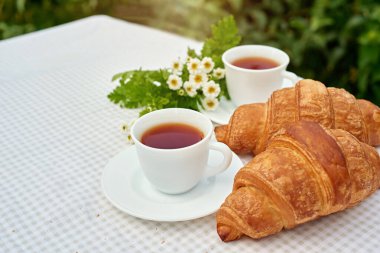 Masada beyaz arka planda papatya çayı ve taze kruvasan olsun. Bahar kahvaltısı kavramsal kompozisyonu