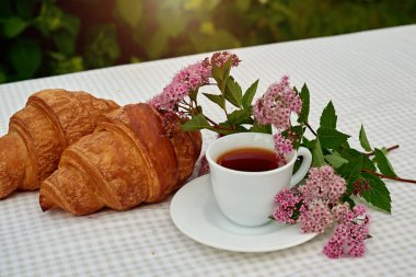 İki fincan siyah çay, çiçekler ve beyaz arka planda taze kruvasanlar. Bahar kahvaltısı kavramsal kompozisyonu