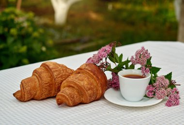 İki fincan siyah çay, çiçekler ve beyaz arka planda taze kruvasanlar. Bahar kahvaltısı kavramsal kompozisyonu