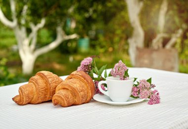 İki fincan siyah çay, çiçekler ve beyaz arka planda taze kruvasanlar. Bahar kahvaltısı kavramsal kompozisyonu