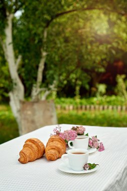 İki fincan siyah çay, çiçekler ve beyaz arka planda taze kruvasanlar. Bahar kahvaltısı kavramsal kompozisyonu