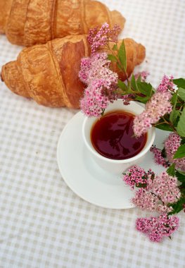 İki fincan siyah çay, çiçekler ve beyaz arka planda taze kruvasanlar. Bahar kahvaltısı kavramsal kompozisyonu