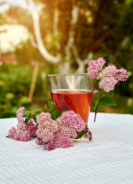 Çilekli meyve suyu ve masada ayçöreği olan limon. Farklı turunçgillerden ev yapımı limonata. Bahçe arka planında ferahlatıcı yaz içeceği.