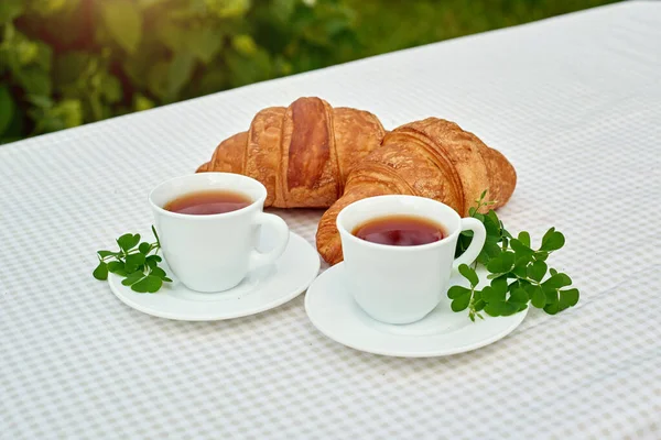 Masada beyaz arka planda papatya çayı ve taze kruvasan olsun. Bahar kahvaltısı kavramsal kompozisyonu