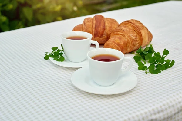 Two Cup Black Tea Camomile Fresh Croissants Table White Background — Foto de Stock