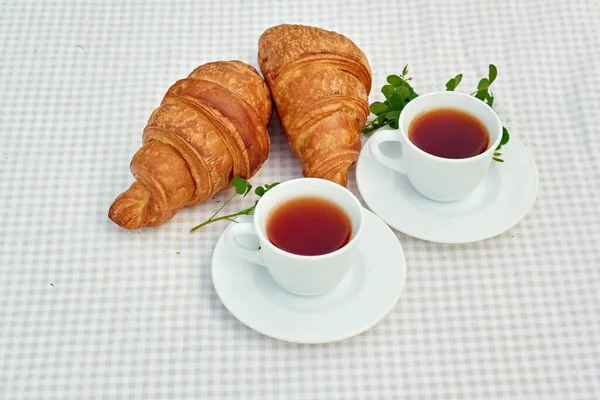 Two Cup Black Tea Camomile Fresh Croissants Table White Background — Foto de Stock