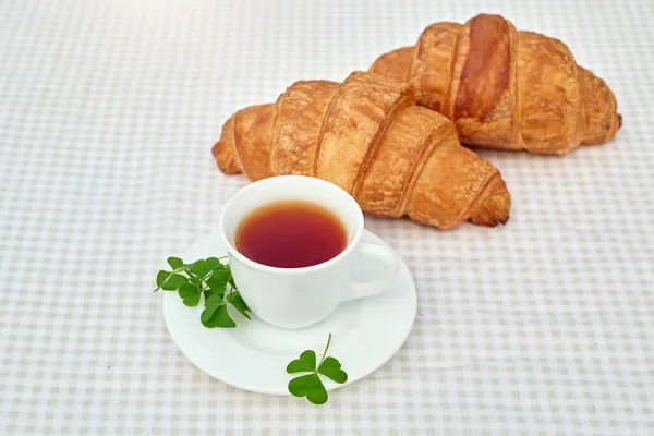 Masada beyaz arka planda papatya çayı ve taze kruvasan olsun. Bahar kahvaltısı kavramsal kompozisyonu